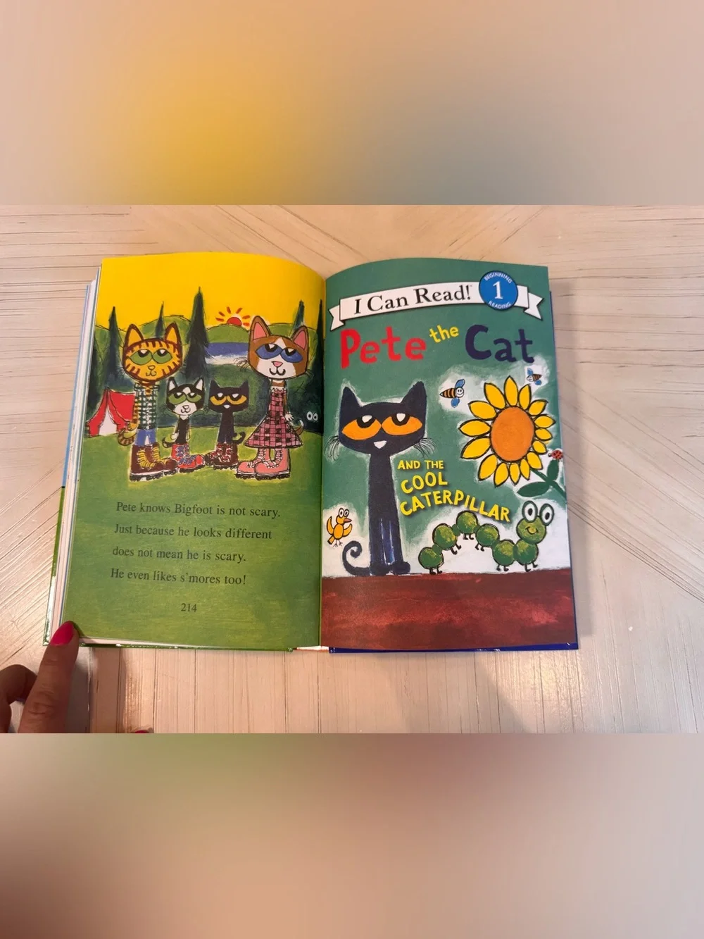 Pete the Cat’s Giant Groovy Book – 9 Books in 1 – Hardcover – NEW